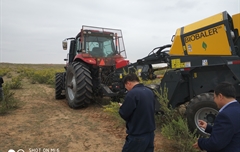 2019年,內蒙奈吉牧草有限公司,采購一臺Anderson檸條平茬機